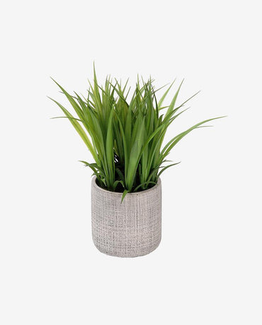 Ciamond Halo Stud Cum